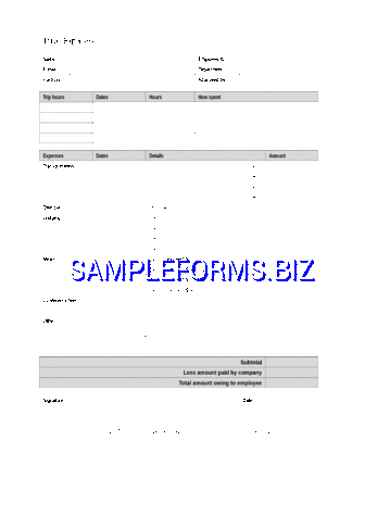 Expense Report Form 1 dotx pdf free